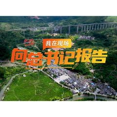 我在现场·向总书记报告 | 沙洲村：从“一枝秀”到“满园春”