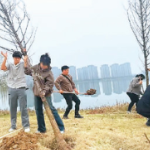 鄂台青年共植友谊树