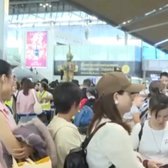 入境游“暖风”频吹早争春 中国为全球旅游业复苏增长注入动力