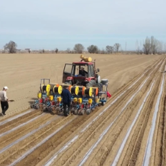 机械化率达100%!新疆棉花种植进度条:■■■■□