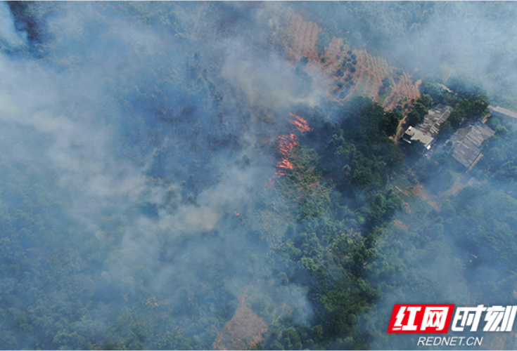 平安清明丨国网湖南电力应用大数据手段防山火于未燃