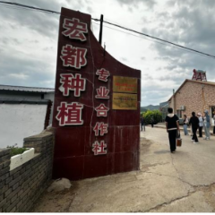 铸牢共同体 中华一家亲丨不加“科技与狠活” 这座内蒙古“小庙”靠中药材致富