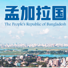 图览 | 在这个传统友好邻邦，中国的“友谊之桥”有了具象化
