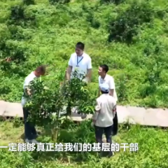 焦点访谈丨用铁规矩、硬杠杠让基层干部“轻装上阵”