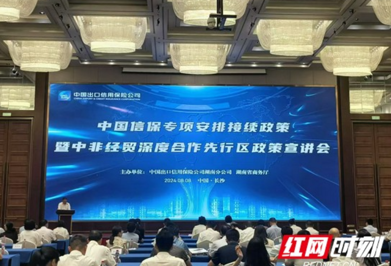 力促企业“抱团出海”，湖南举行专项政策宣讲会