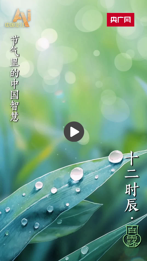 QQ20240907-110412.png