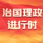 独家视频丨习近平会见冈比亚总统：中冈双方已经成为发展振兴道路上的好朋友 好伙伴