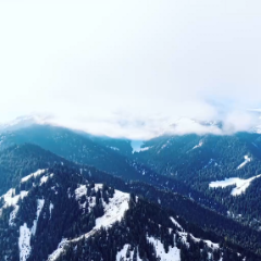 千城胜景｜新疆吉木萨尔：冬日雪境 邂逅雾中幻景