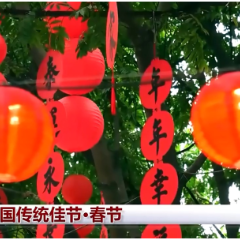 文化中国行丨首个“非遗版”春节，与世界共享“年味儿”！