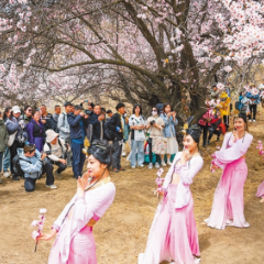 西藏有力有效推进乡村全面振兴 和美乡村为幸福“加码”