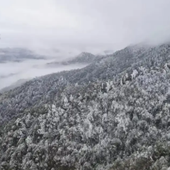 湖南气象发布:初雪或将今天抵达