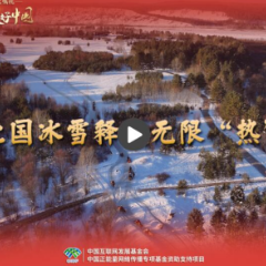 牢记嘱托·看见美好中国丨让北国冰雪释放新“热”力