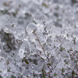冰冻黄色预警发布 贵州湖南广西等地将迎冻雨
