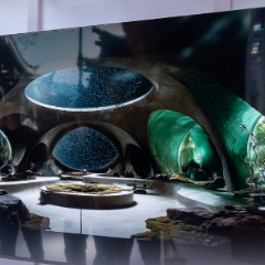 聚焦“三新”试点、推动“微短剧+”！一组关键词读懂“服务消费”这件事