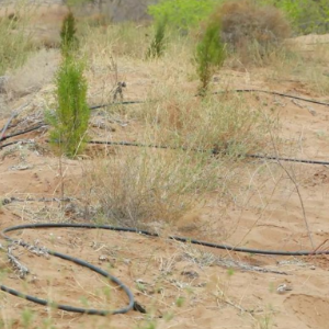 新华视点丨春日焕新景 产业促振兴