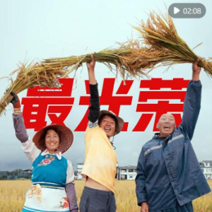 这双手，辛苦了！劳动者，最光荣！