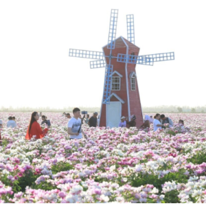 新疆旅游新动向丨从“凑人气”到“留人心” 新疆县域旅游玩出新高度
