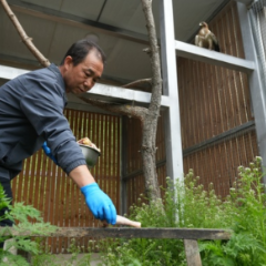 美丽中国行丨六盘山间听鸟鸣,典农河畔见清波——宁夏生态之变写进寻常生活