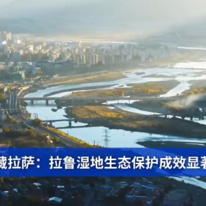 西藏拉萨：拉鲁湿地生态保护成效显著