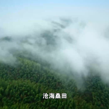 寻瓷记|高岭寻源:看看瓷土最早从哪里来
