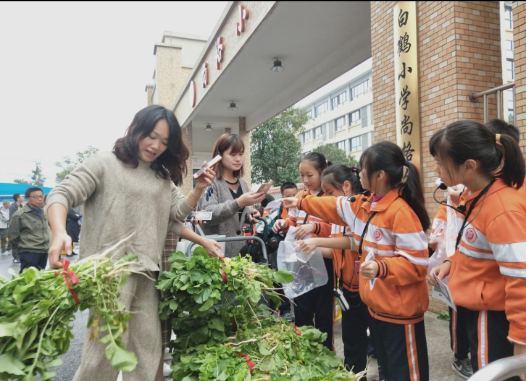 尚格小学：职业体验又开始了