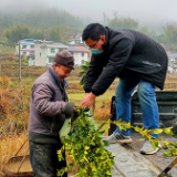 炎陵税务扶贫干部携手村民共战“疫”