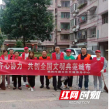 渌口区：提升城市文明开展文明创建志愿活动