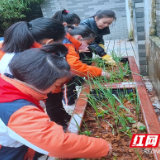 贺家土小学：老师，将我们种植的果实献给您