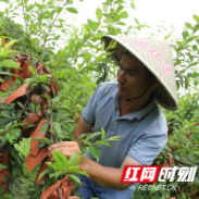  黄松贵：身残志坚，用不屈和毅力只手托起一片天