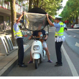 “一盔一带” 安全守护渌口区大整治进行时