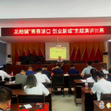 渌口区龙船镇举办“青春渌口 创业新城”主题演讲比赛