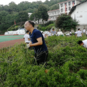 劳动创造美 五里墩中学上好开学第一课 