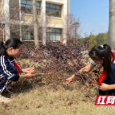 湘江小学联合特殊学校开展学雷锋植树活动