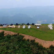 渌口旅游官网投入使用