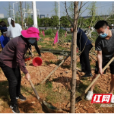 贺家土小学：共建生态园林城市 共享宜居幸福株洲