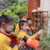 何家坳小学:“七彩百花园”里的“小花匠”们