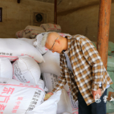 种粮大户邹明海：手把青秧插满田 退步原来是向前