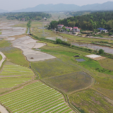 株洲市资规局吹响严守耕地保护红线“集结号”