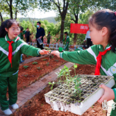 渌口区：松西子小学小农夫乐园开园啦