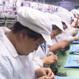 株洲： 切实维护社会安全稳定大局