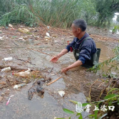 渌口区打响渌江沿岸清漂“歼灭战”