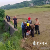 失足溺水！渌口区龙船镇众人接力抢救上演“生死时速”