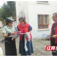 炎陵县霞阳镇：城乡居保惠民生  政策宣传强保障