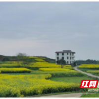 “找问题补短板优服务”株洲市资规局开展大调研大讨论活动