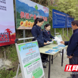 税“惠”桃花节 乡村旅游“热”起来