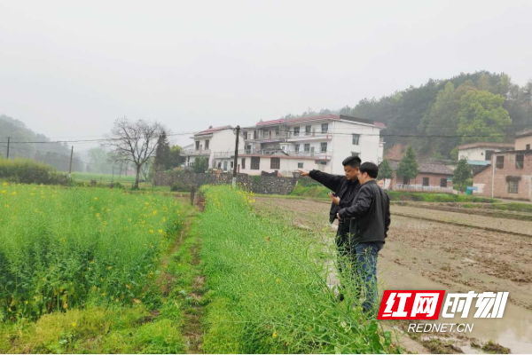 株洲：人防+技防 筑牢耕地保护红线