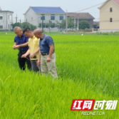 攸县：“鸿雁”归巢创业忙  闲置厂房换“新装”