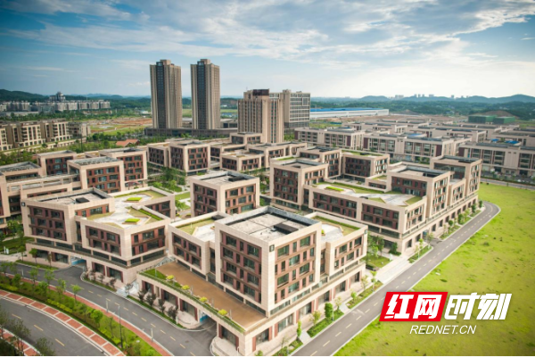 株洲：乘“数”而上 加“数”前行，打造数字经济发展的典范