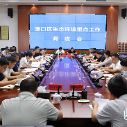 渌口区召开生态环境重点工作调度会