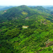 曹慧泉在石峰区下沉接访